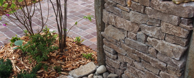 アオダモと気良石と石畳の庭の写真