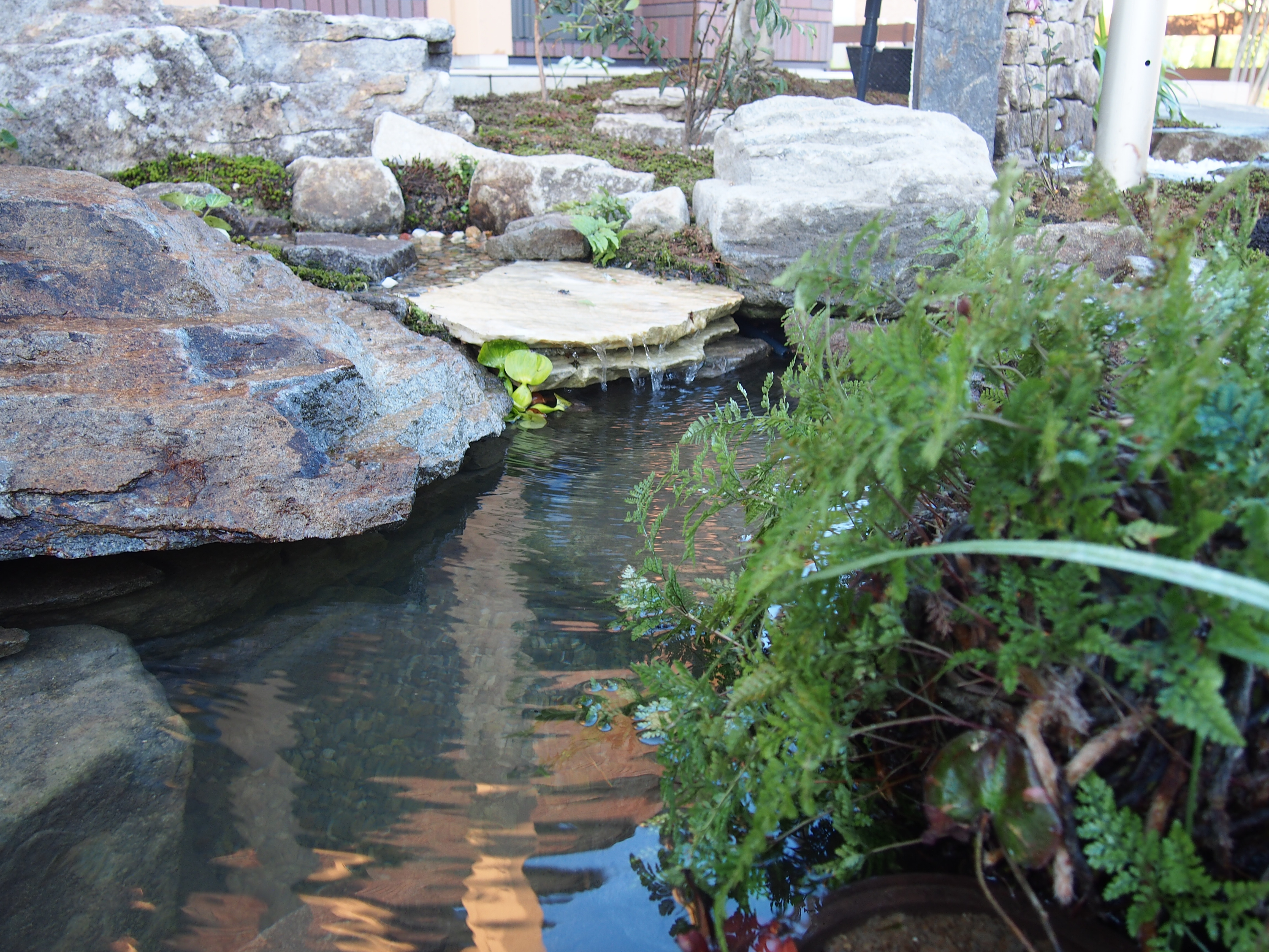 池と流れのある庭2 庭作り 造園の設計施工なら愛知県の青木作庭舎